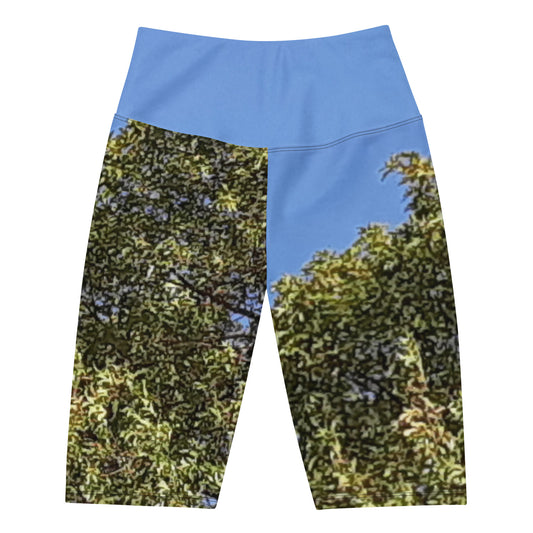 GG - Women's Biker Shorts - Trees & Blue Sky