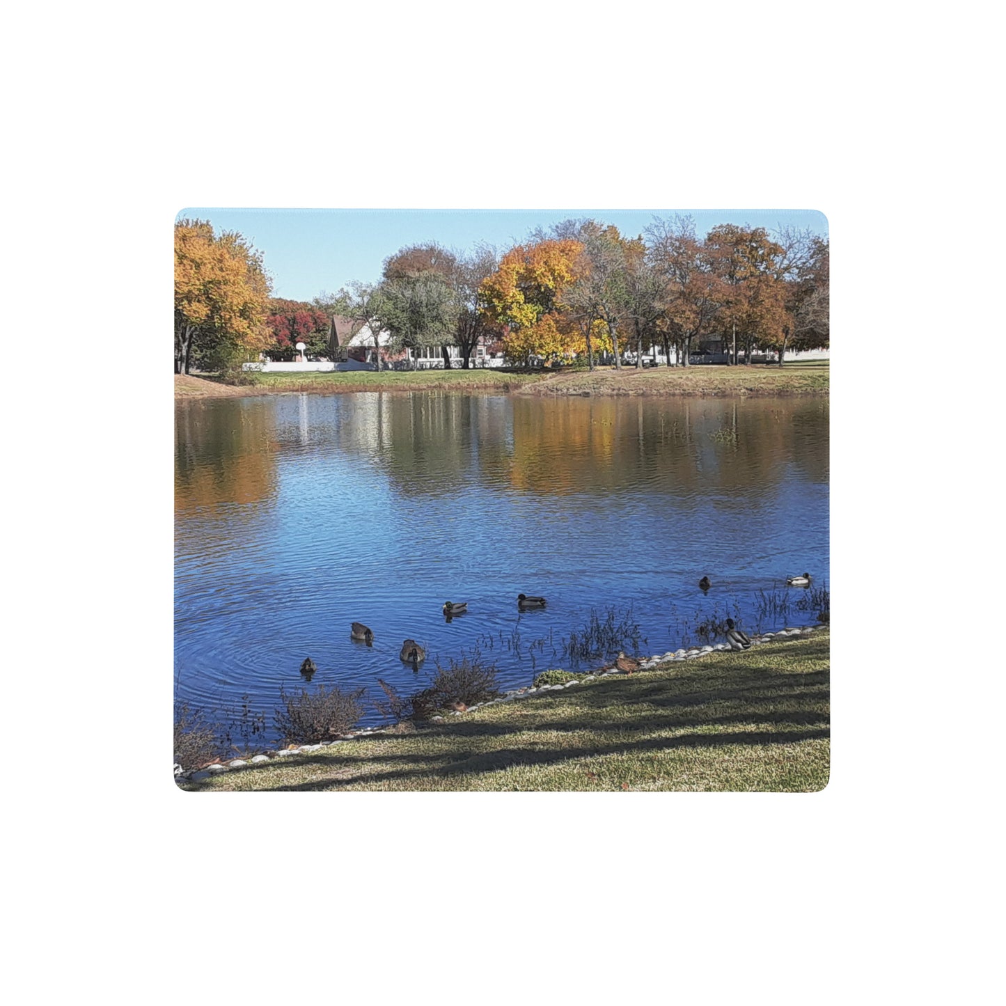 GG - Gaming mouse pad - Pond